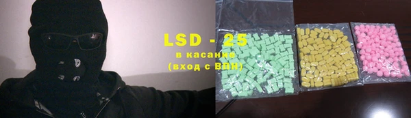 гидра Покачи