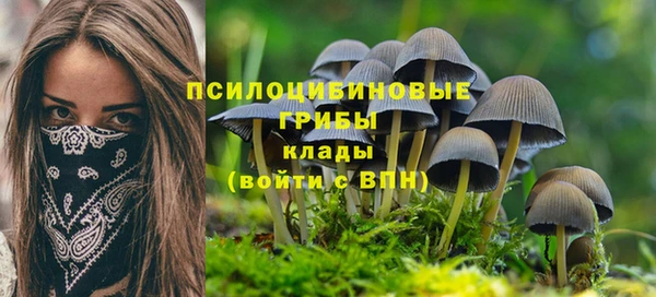 гидра Покачи